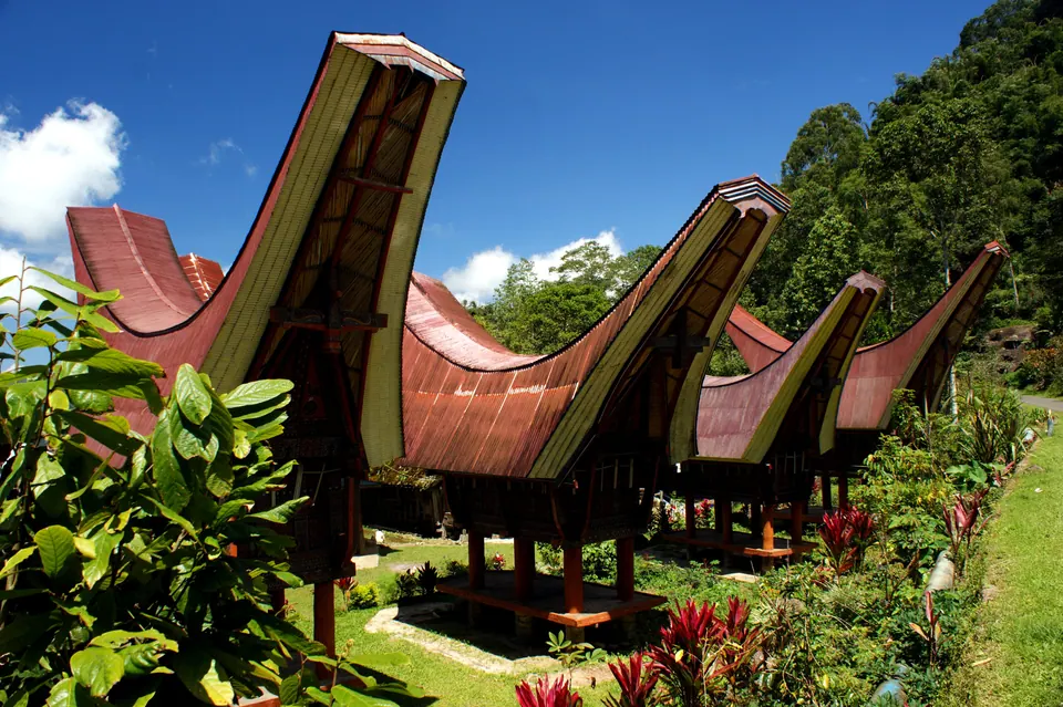 Deretan rumah tongkonan tradisional di Tana Toraja, Sulawesi Selatan